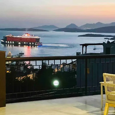 Deniz Manzarali Tas فيلة