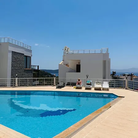 Deniz Manzarali Tas 빌라